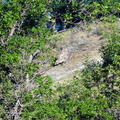 DSC06680